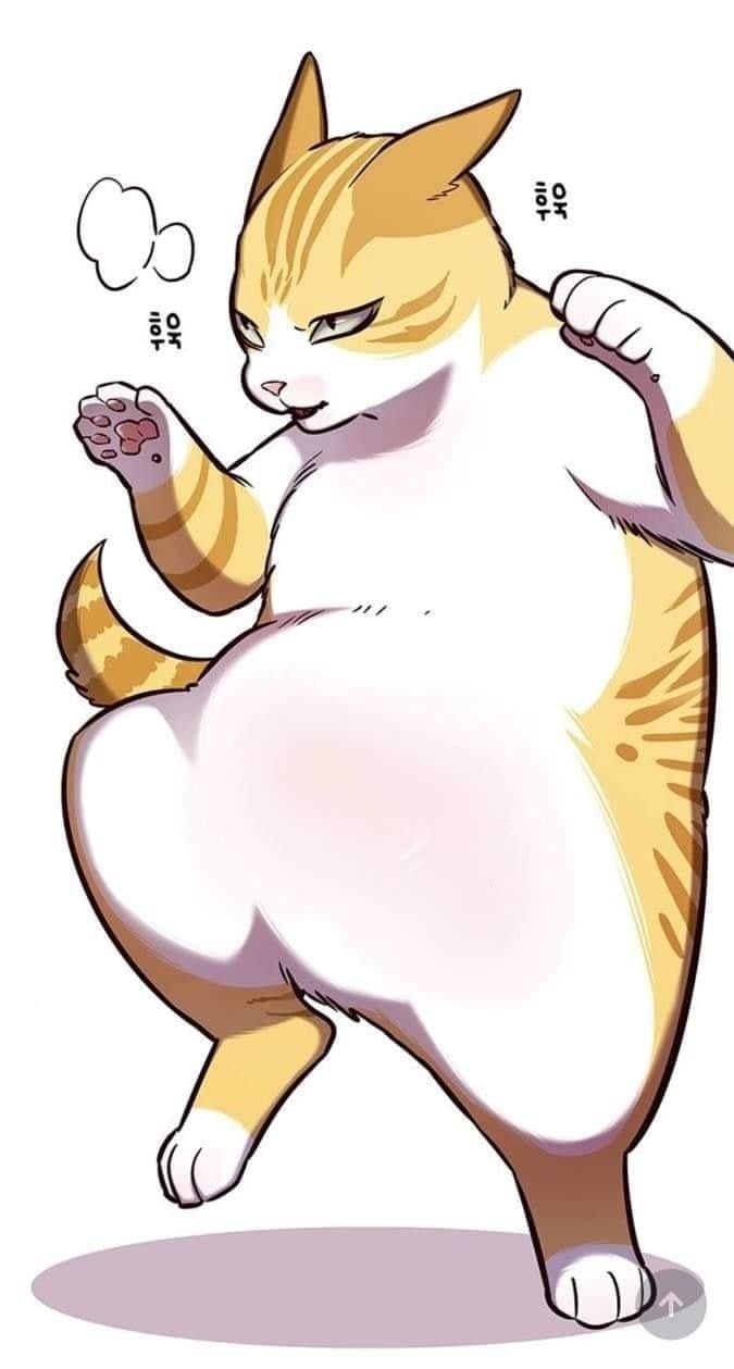 đọc truyện Hóa Thân Thành Mèo Chương 144 ảnh 16 tại Thiên Thai Truyện