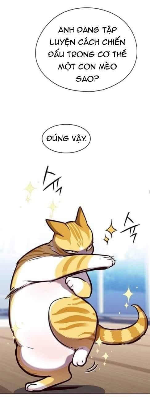 đọc truyện Hóa Thân Thành Mèo Chương 144 ảnh 19 tại Thiên Thai Truyện