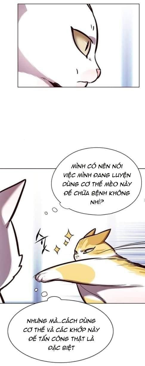 đọc truyện Hóa Thân Thành Mèo Chương 144 ảnh 22 tại Thiên Thai Truyện