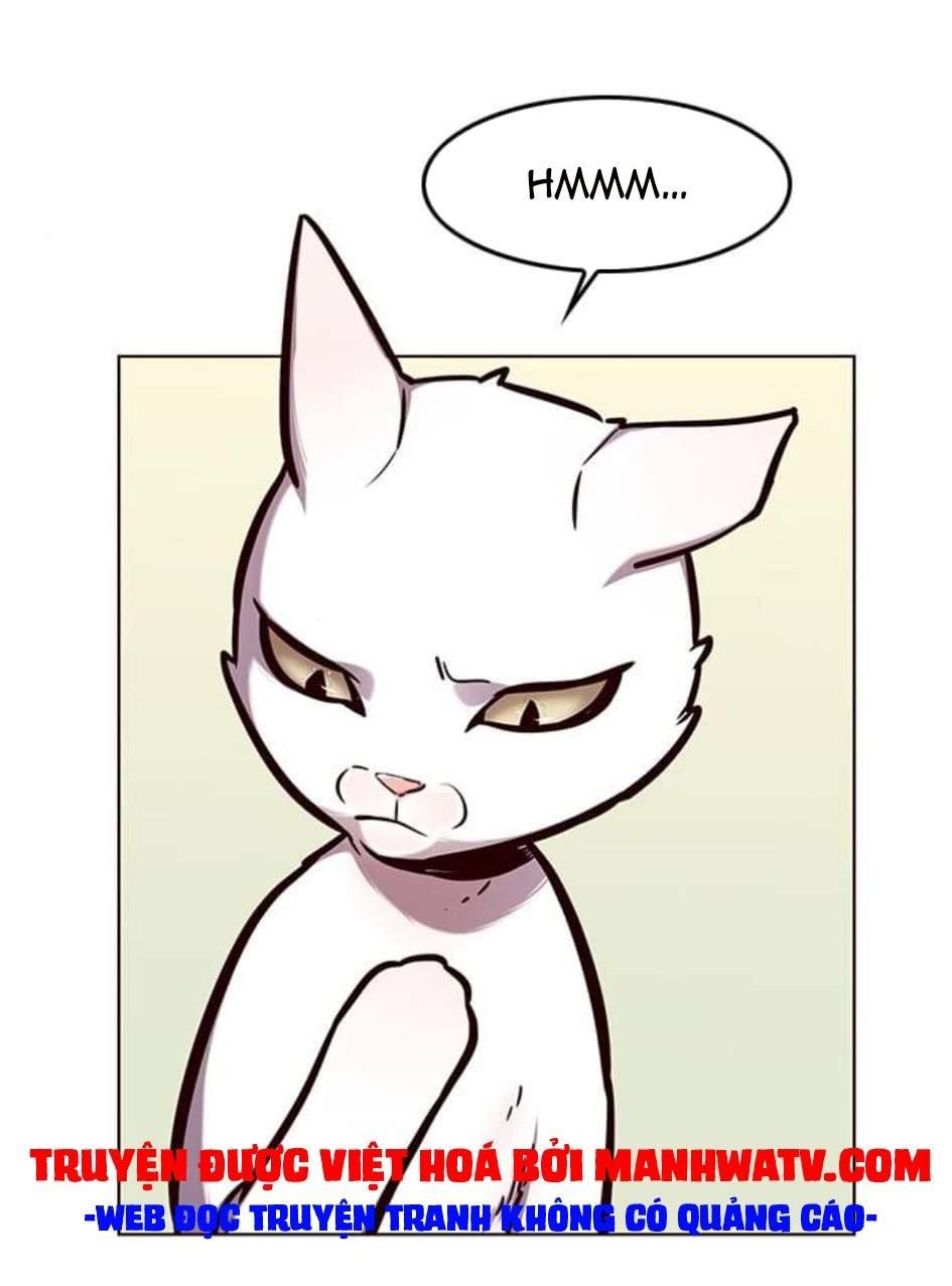 đọc truyện Hóa Thân Thành Mèo Chương 144 ảnh 23 tại Thiên Thai Truyện