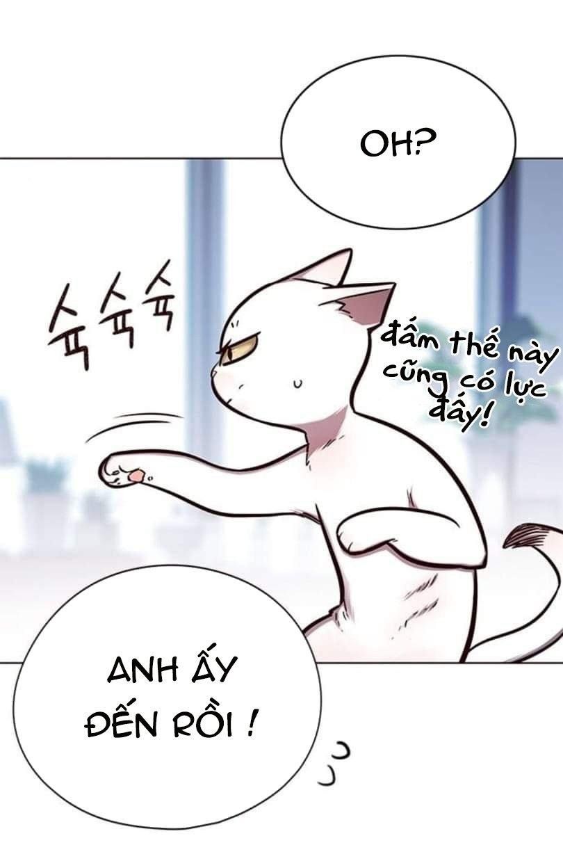 đọc truyện Hóa Thân Thành Mèo Chương 144 ảnh 26 tại Thiên Thai Truyện