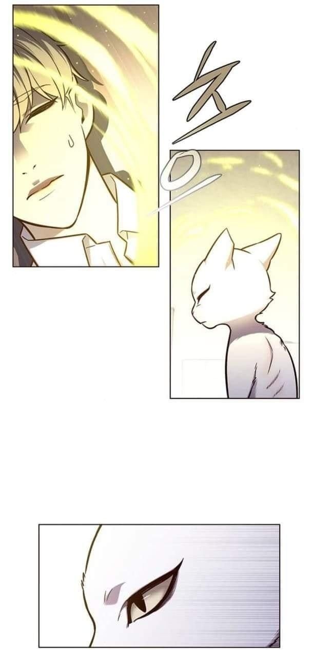 đọc truyện Hóa Thân Thành Mèo Chương 144 ảnh 5 tại Thiên Thai Truyện