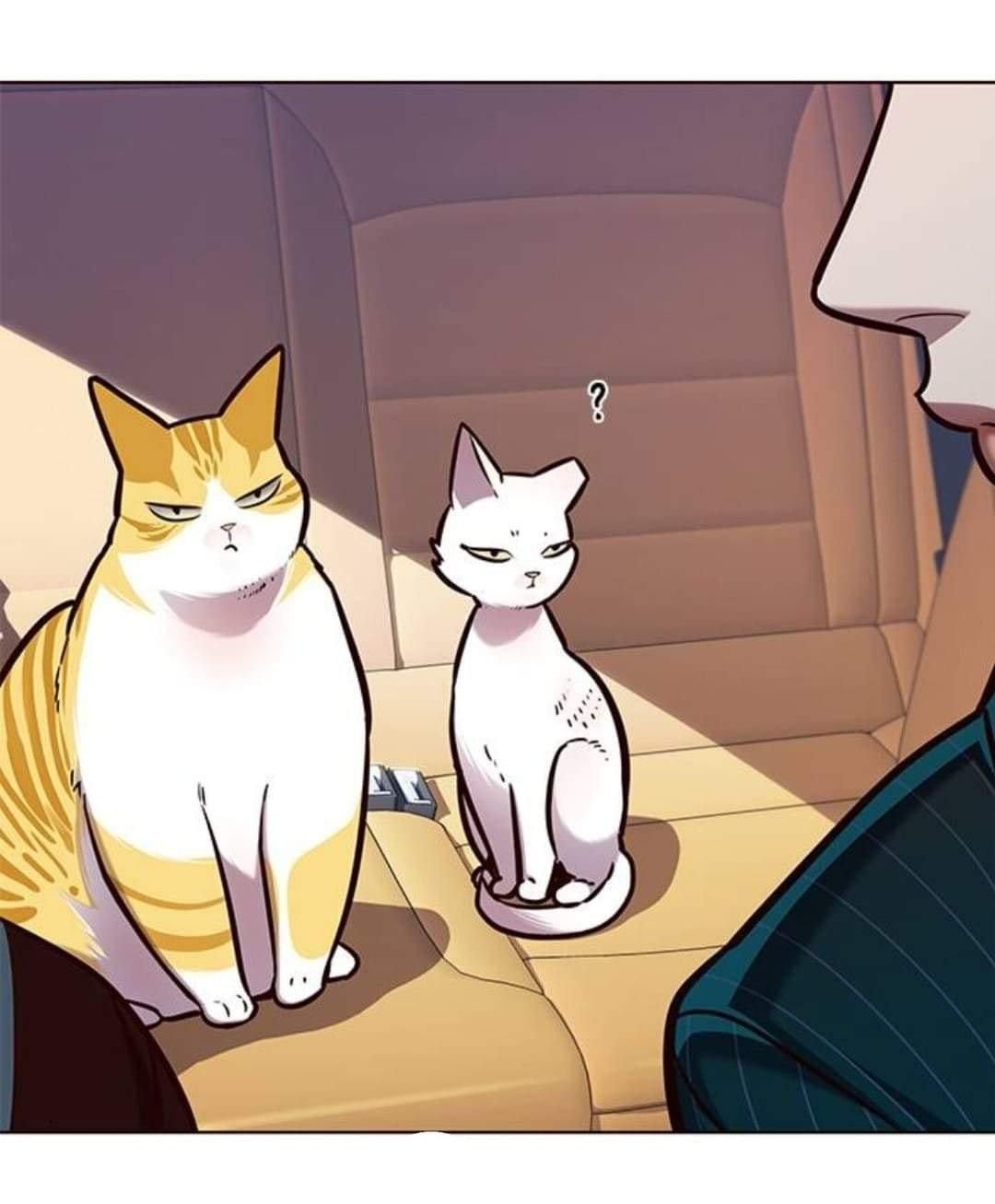 đọc truyện Hóa Thân Thành Mèo Chương 144 ảnh 32 tại Thiên Thai Truyện