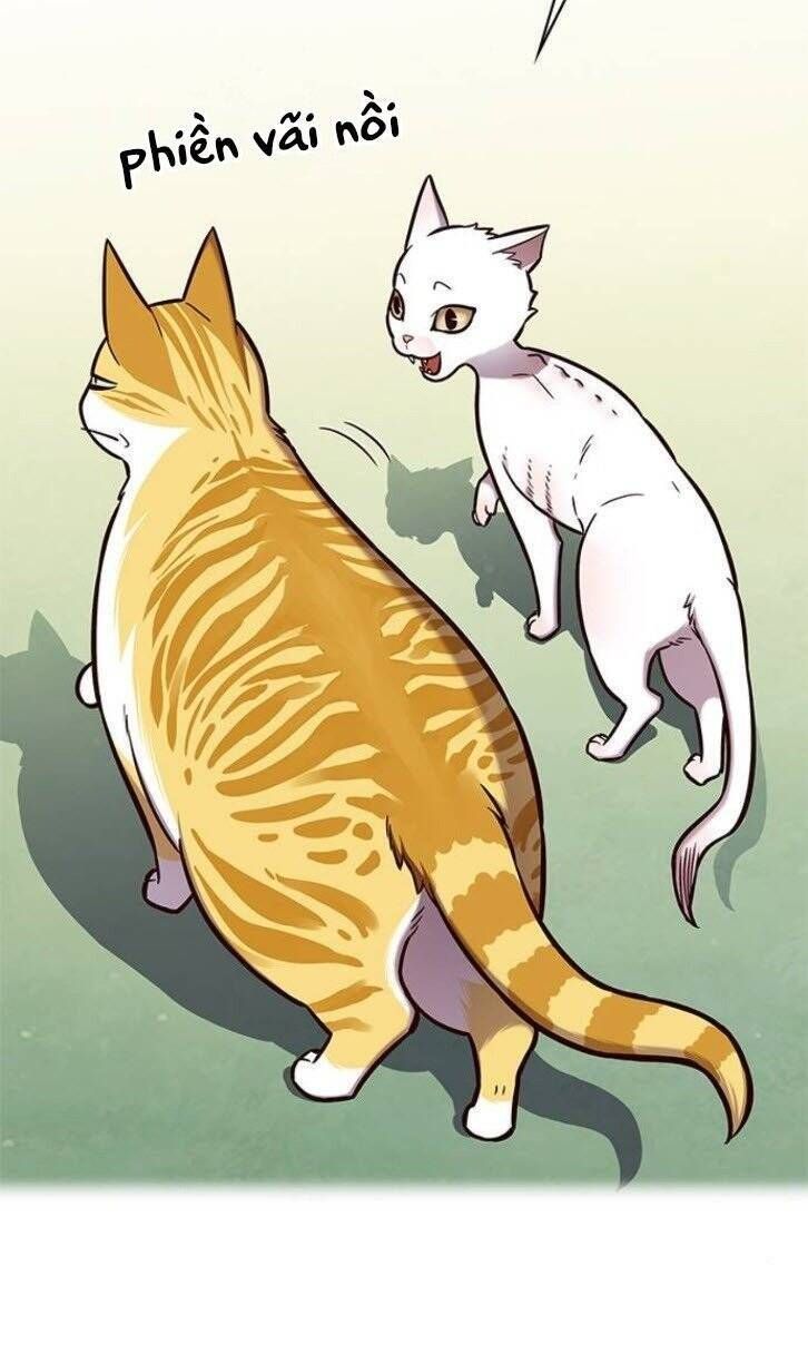 đọc truyện Hóa Thân Thành Mèo Chương 145 ảnh 53 tại Thiên Thai Truyện