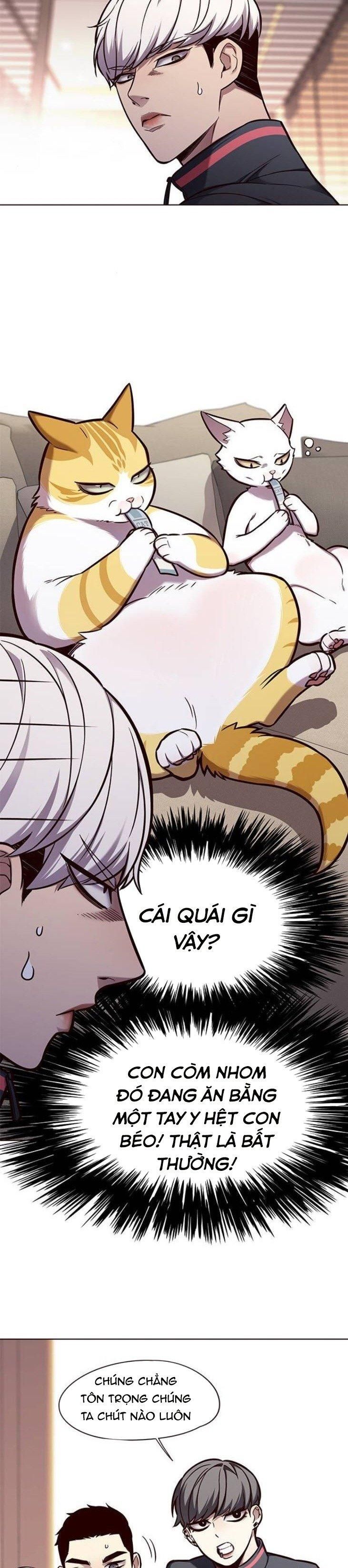 đọc truyện Hóa Thân Thành Mèo Chương 146 ảnh 12 tại Thiên Thai Truyện