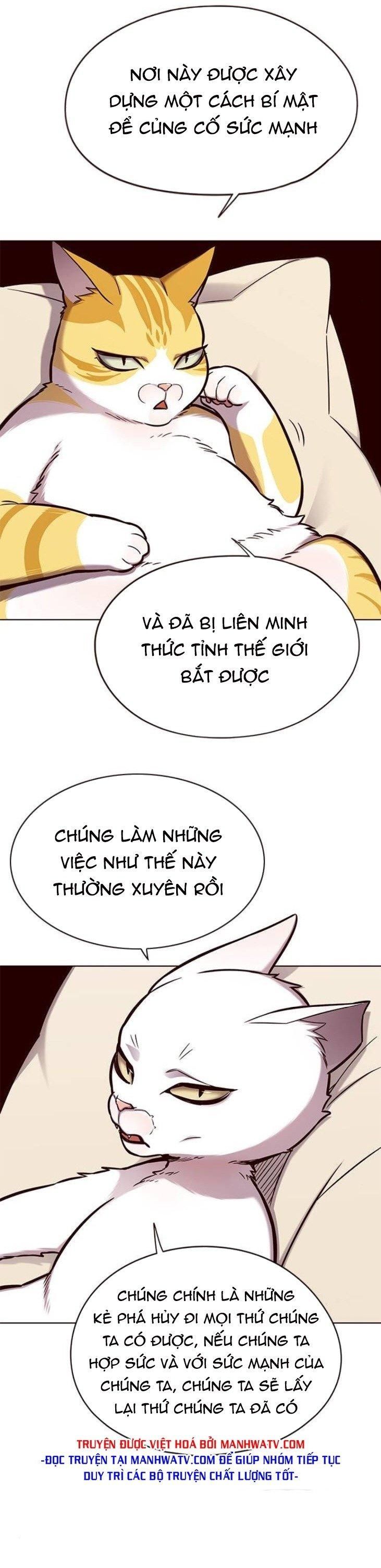 đọc truyện Hóa Thân Thành Mèo Chương 146 ảnh 20 tại Thiên Thai Truyện