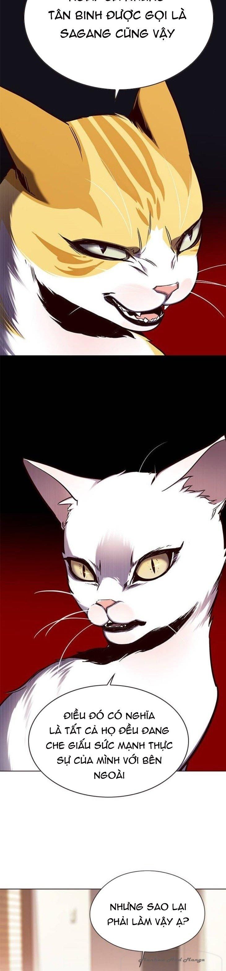 đọc truyện Hóa Thân Thành Mèo Chương 146 ảnh 24 tại Thiên Thai Truyện