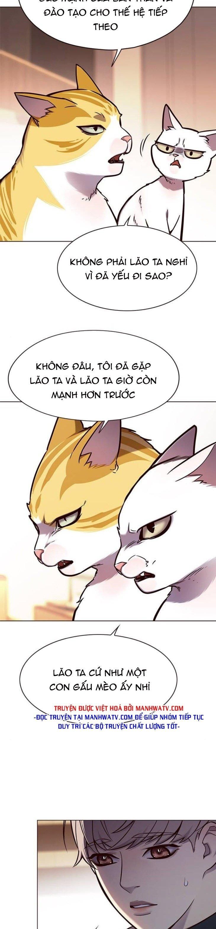 đọc truyện Hóa Thân Thành Mèo Chương 146 ảnh 27 tại Thiên Thai Truyện