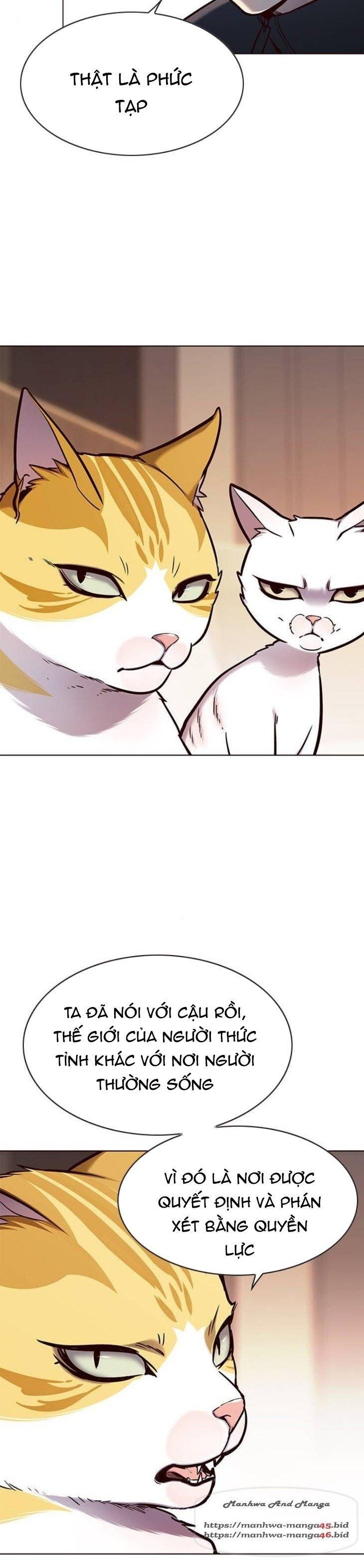 đọc truyện Hóa Thân Thành Mèo Chương 146 ảnh 28 tại Thiên Thai Truyện