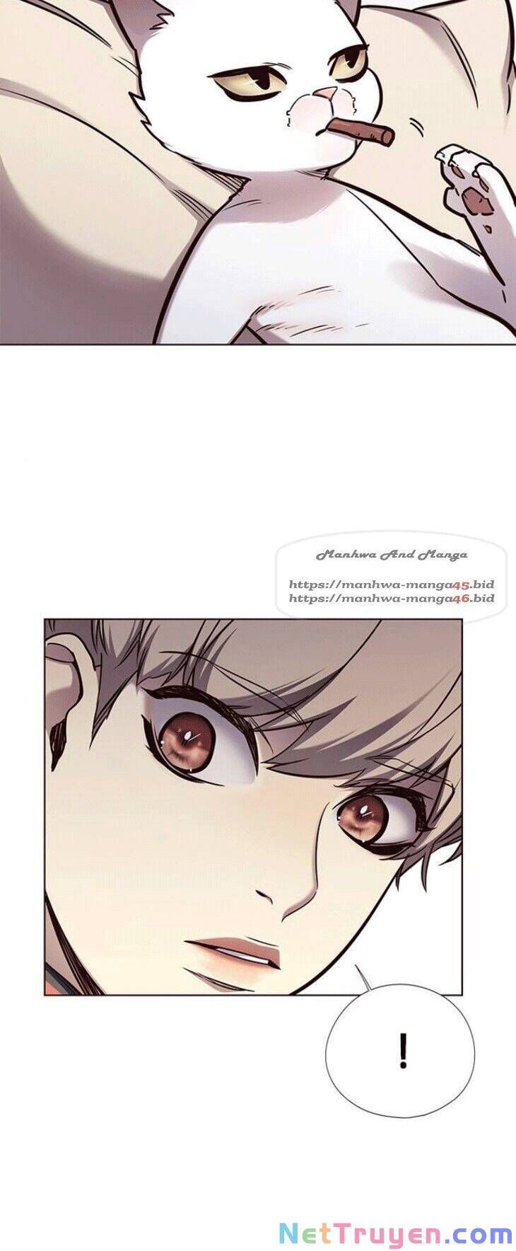 đọc truyện Hóa Thân Thành Mèo Chương 148 ảnh 12 tại Thiên Thai Truyện