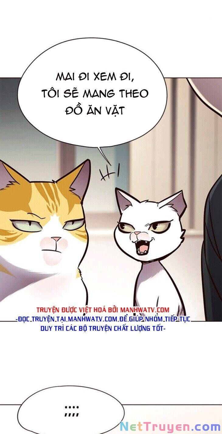 đọc truyện Hóa Thân Thành Mèo Chương 148 ảnh 17 tại Thiên Thai Truyện