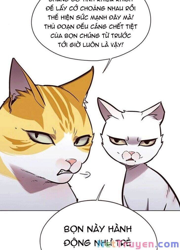 đọc truyện Hóa Thân Thành Mèo Chương 148 ảnh 5 tại Thiên Thai Truyện