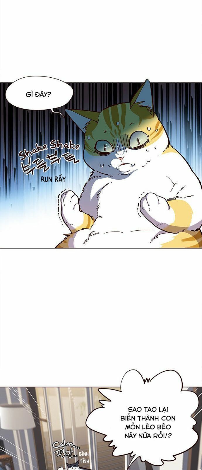 đọc truyện Hóa Thân Thành Mèo Chương 15 ảnh 49 tại Thiên Thai Truyện