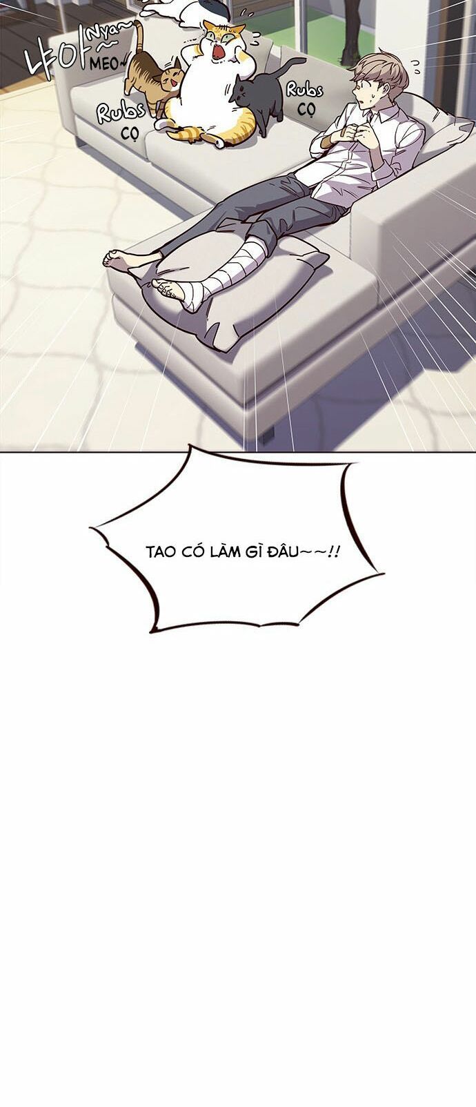 đọc truyện Hóa Thân Thành Mèo Chương 15 ảnh 50 tại Thiên Thai Truyện