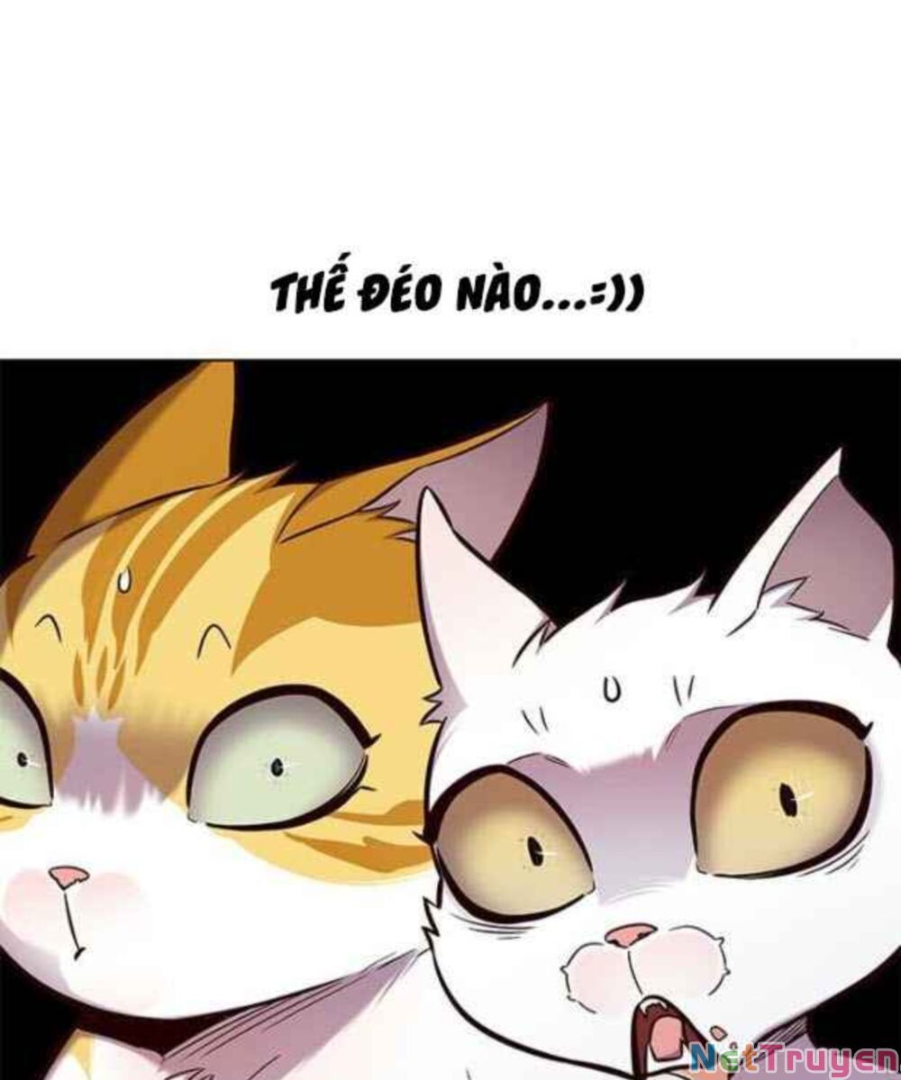 đọc truyện Hóa Thân Thành Mèo Chương 154 ảnh 105 tại Thiên Thai Truyện