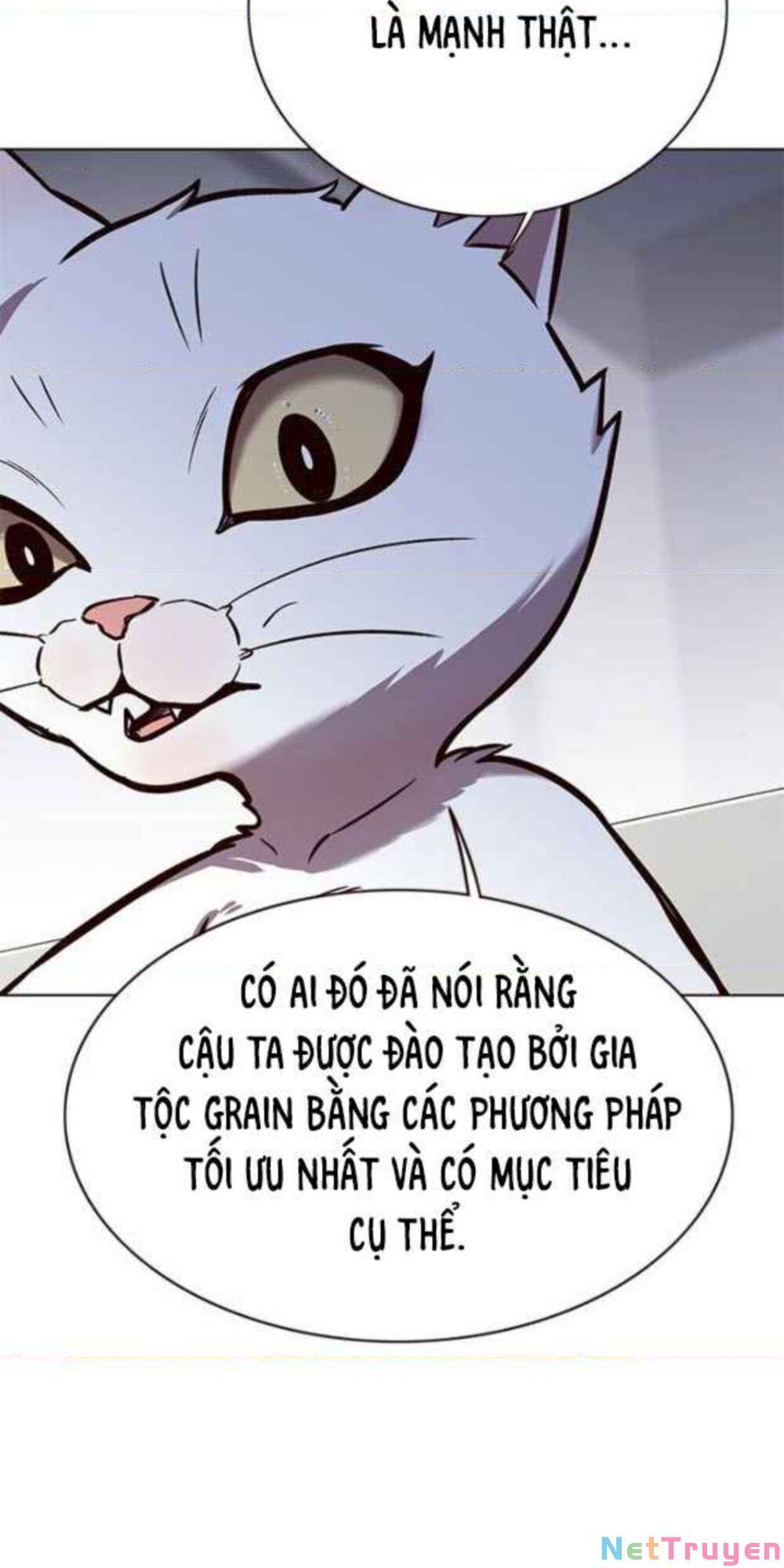 đọc truyện Hóa Thân Thành Mèo Chương 154 ảnh 39 tại Thiên Thai Truyện