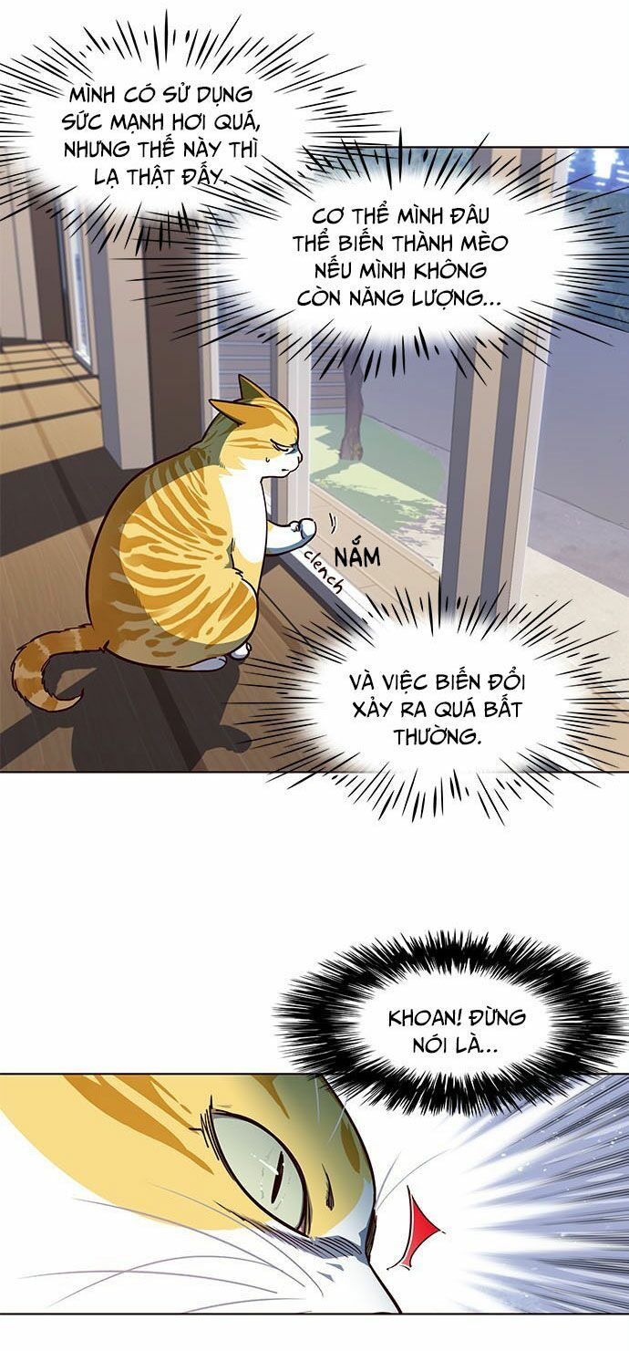 đọc truyện Hóa Thân Thành Mèo Chương 16 ảnh 13 tại Thiên Thai Truyện