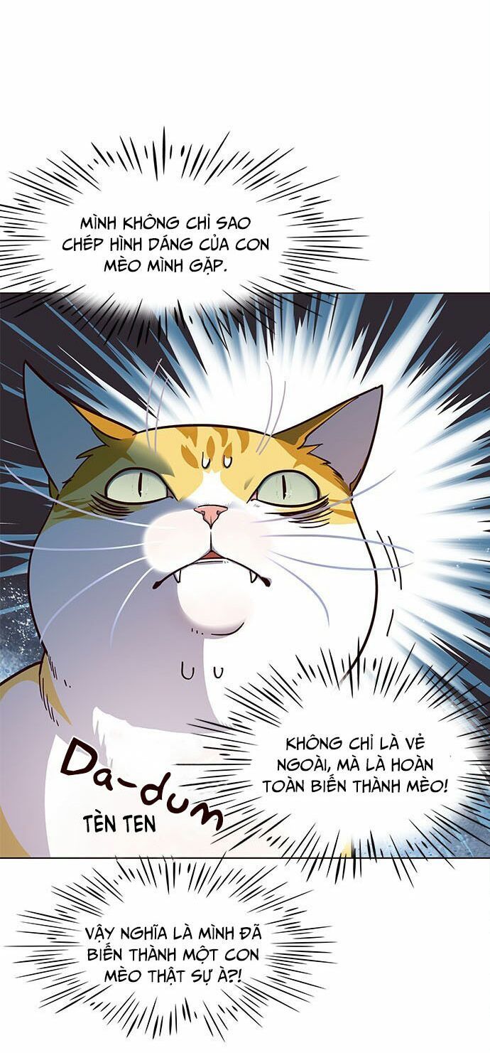 đọc truyện Hóa Thân Thành Mèo Chương 16 ảnh 14 tại Thiên Thai Truyện