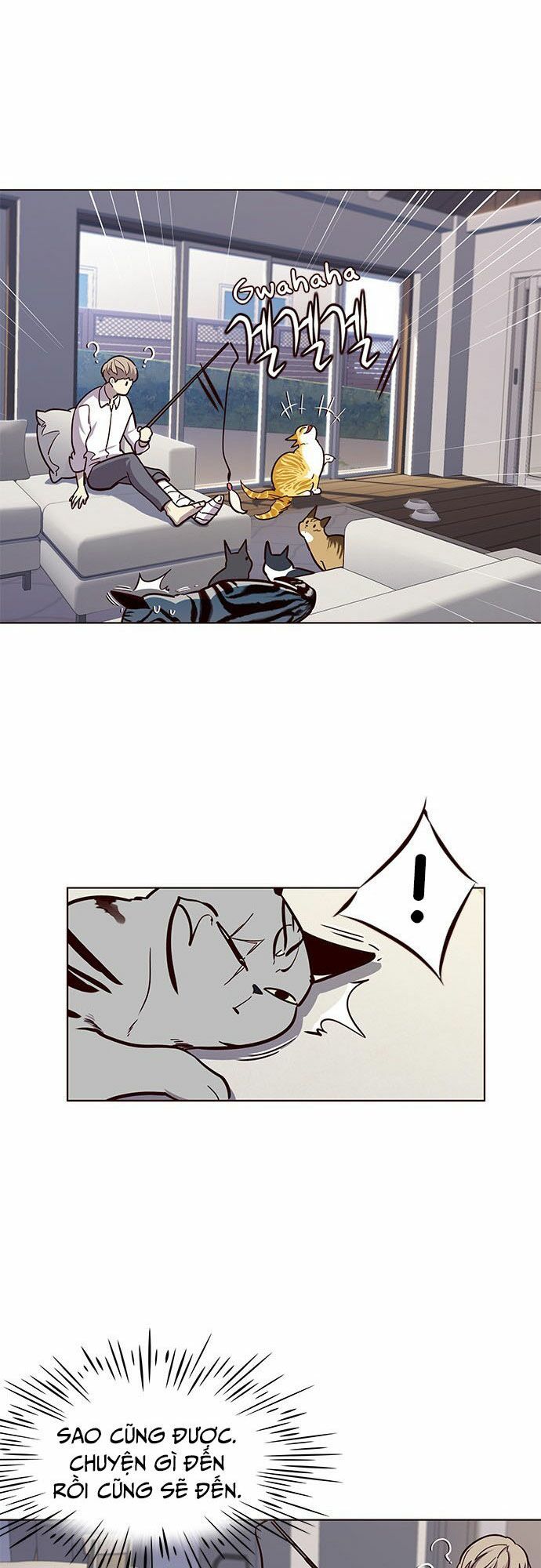 đọc truyện Hóa Thân Thành Mèo Chương 16 ảnh 17 tại Thiên Thai Truyện