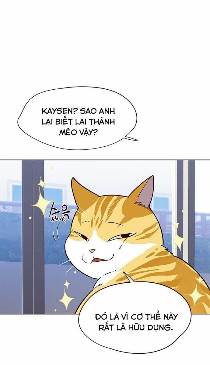 đọc truyện Hóa Thân Thành Mèo Chương 16 ảnh 20 tại Thiên Thai Truyện