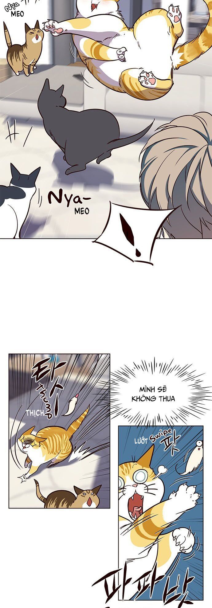 đọc truyện Hóa Thân Thành Mèo Chương 16 ảnh 23 tại Thiên Thai Truyện