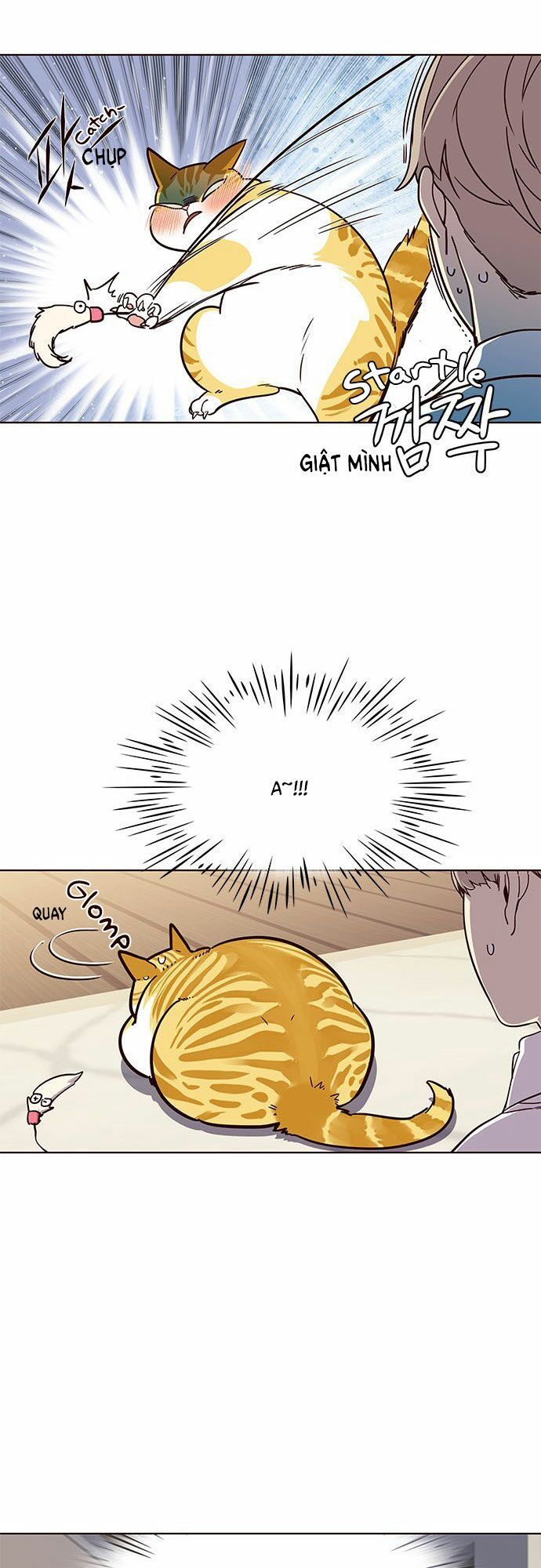 đọc truyện Hóa Thân Thành Mèo Chương 16 ảnh 25 tại Thiên Thai Truyện