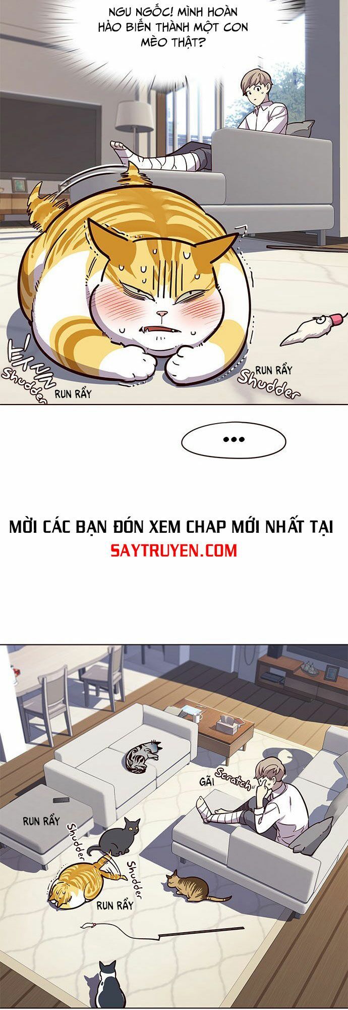 đọc truyện Hóa Thân Thành Mèo Chương 16 ảnh 26 tại Thiên Thai Truyện