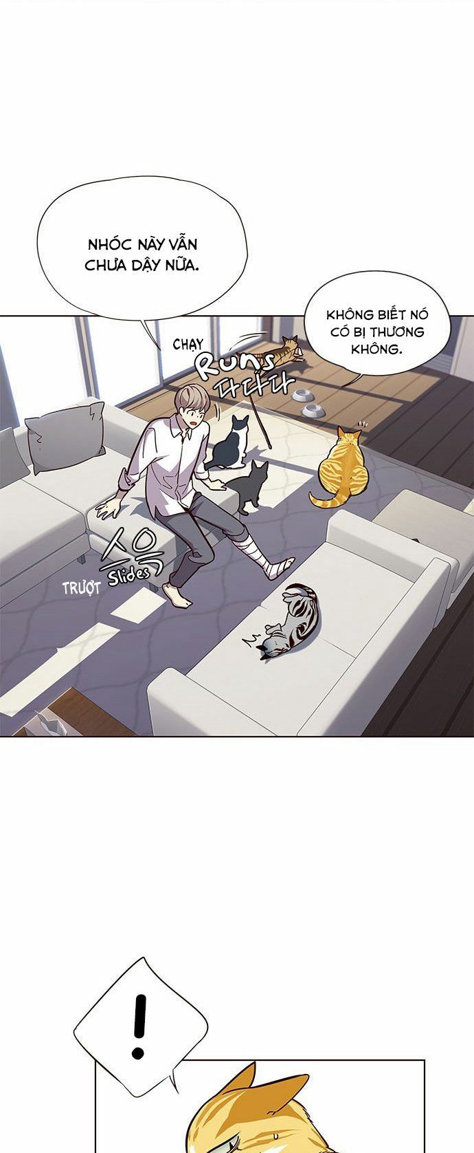 đọc truyện Hóa Thân Thành Mèo Chương 16 ảnh 27 tại Thiên Thai Truyện