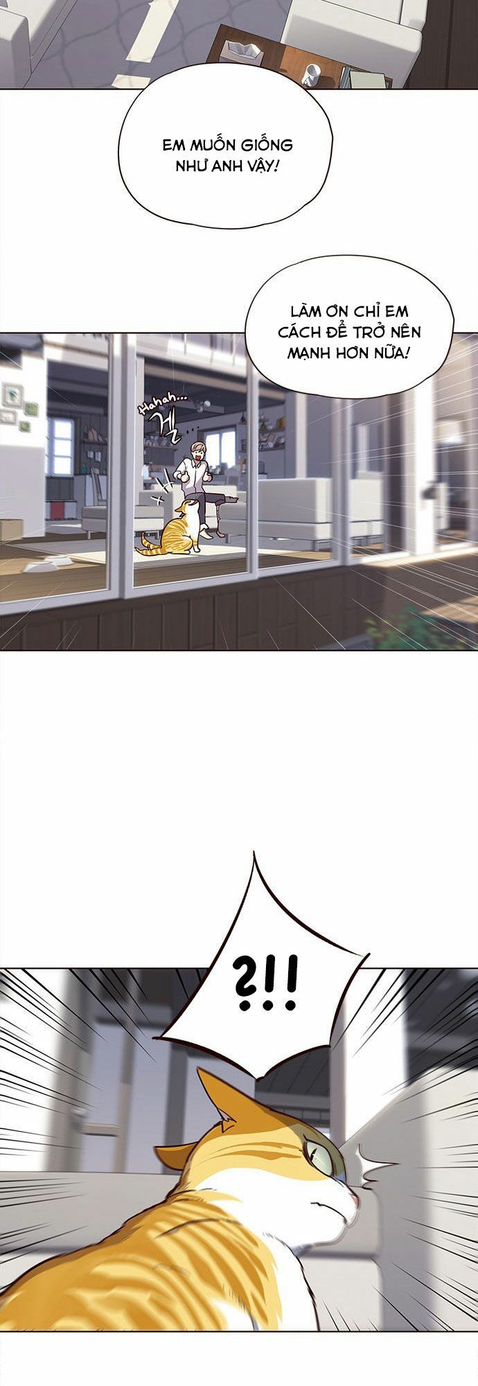 đọc truyện Hóa Thân Thành Mèo Chương 16 ảnh 35 tại Thiên Thai Truyện