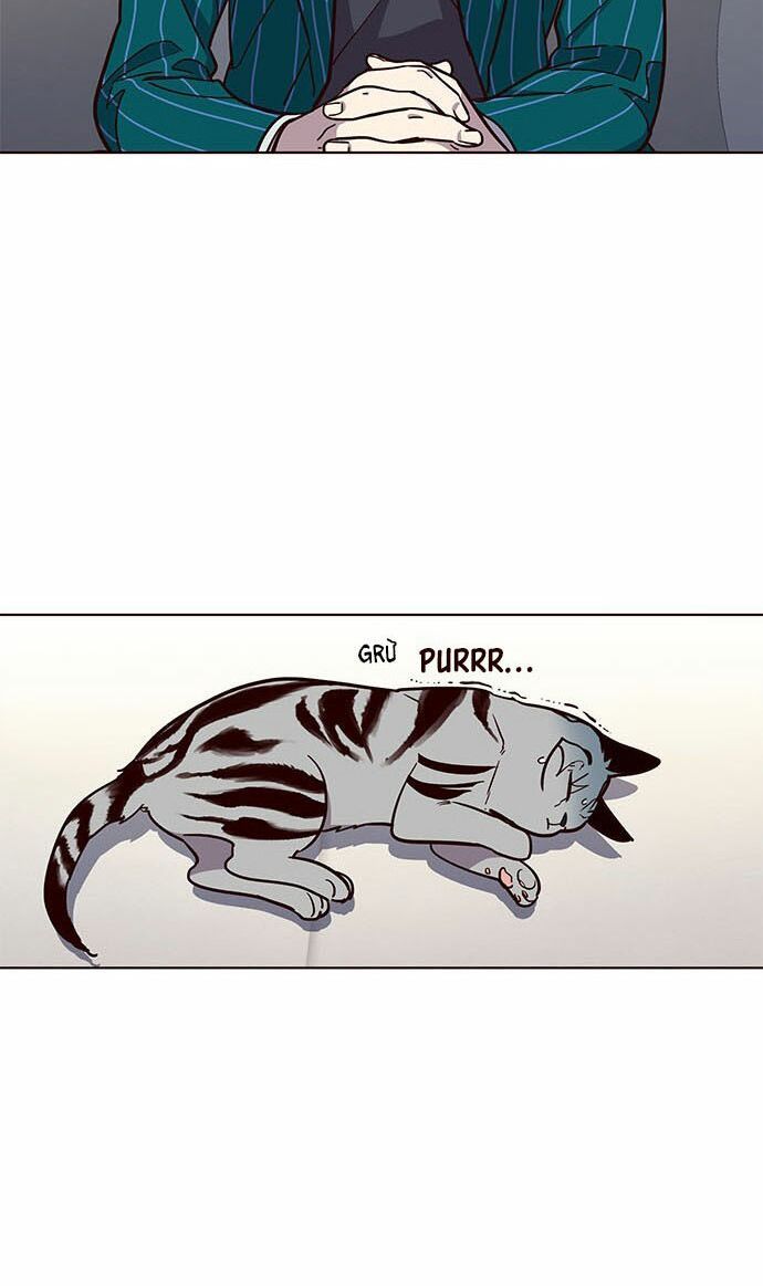 đọc truyện Hóa Thân Thành Mèo Chương 16 ảnh 45 tại Thiên Thai Truyện