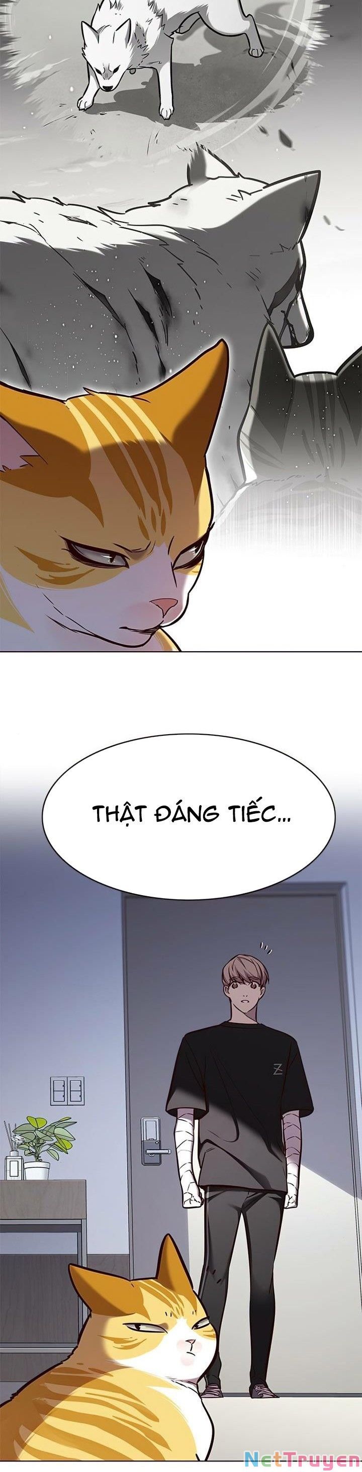 đọc truyện Hóa Thân Thành Mèo Chương 165 ảnh 28 tại Thiên Thai Truyện