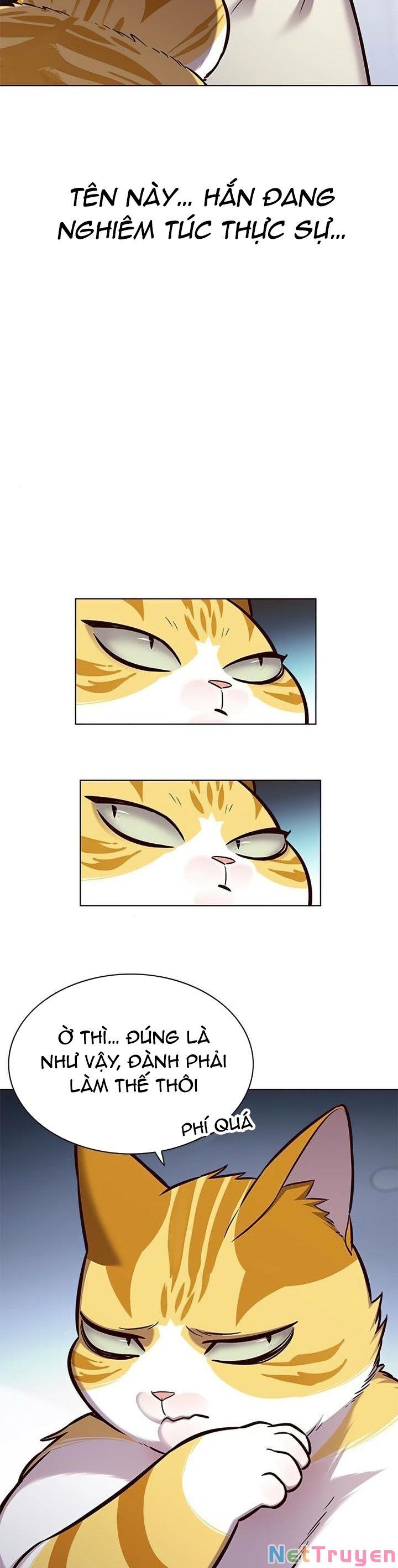 đọc truyện Hóa Thân Thành Mèo Chương 165 ảnh 43 tại Thiên Thai Truyện