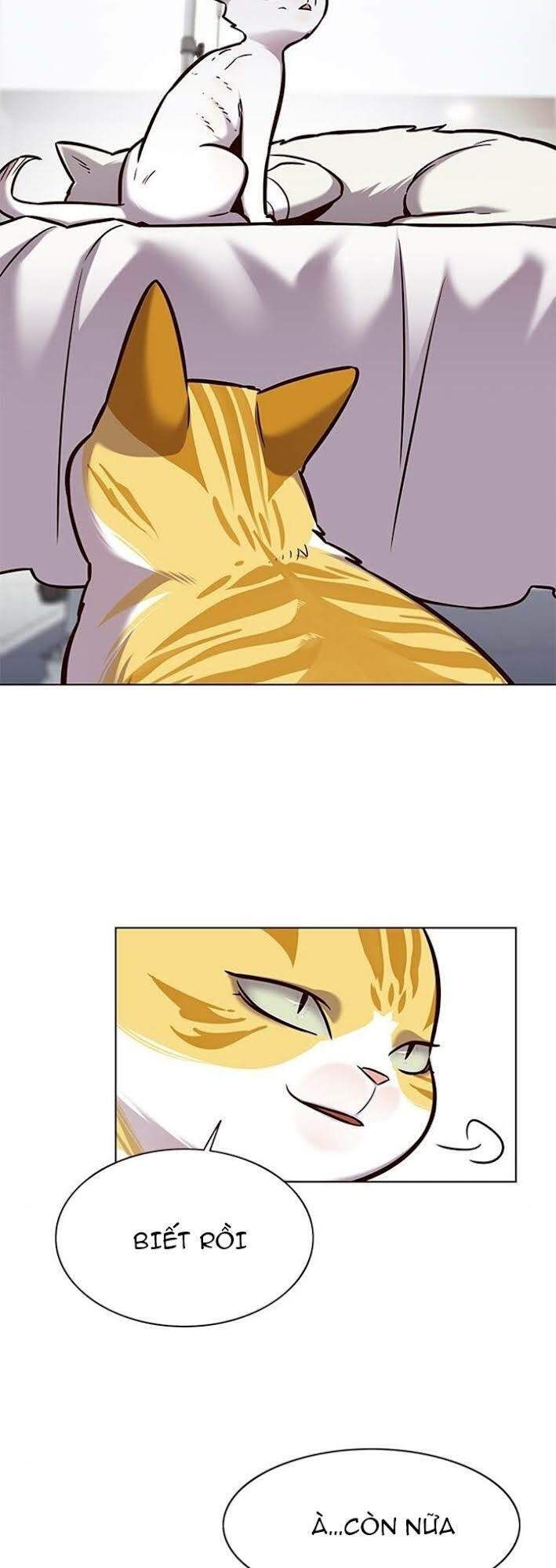 đọc truyện Hóa Thân Thành Mèo Chương 166 ảnh 14 tại Thiên Thai Truyện