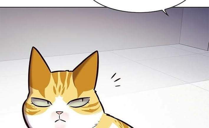 đọc truyện Hóa Thân Thành Mèo Chương 166 ảnh 15 tại Thiên Thai Truyện