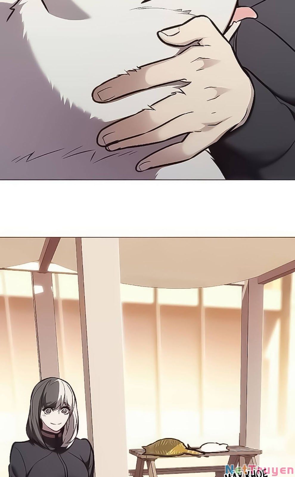 đọc truyện Hóa Thân Thành Mèo Chương 168 ảnh 30 tại Thiên Thai Truyện