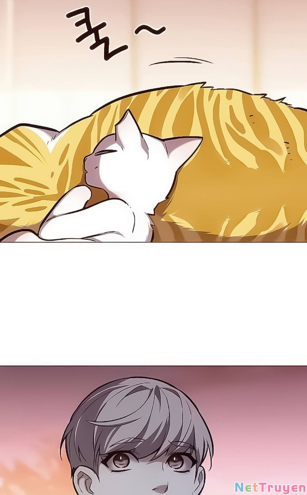 đọc truyện Hóa Thân Thành Mèo Chương 168 ảnh 68 tại Thiên Thai Truyện