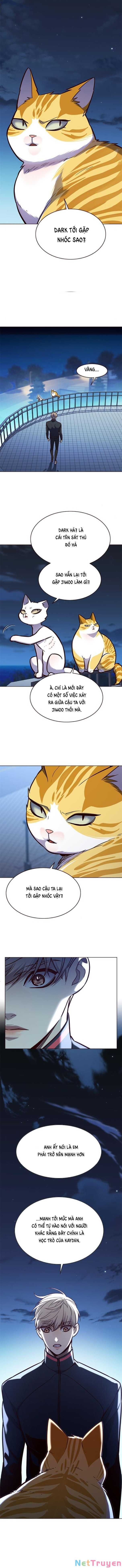 đọc truyện Hóa Thân Thành Mèo Chương 169 ảnh 14 tại Thiên Thai Truyện