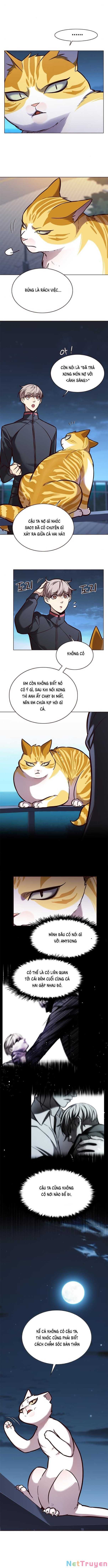 đọc truyện Hóa Thân Thành Mèo Chương 169 ảnh 15 tại Thiên Thai Truyện