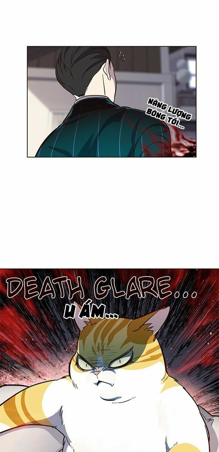 đọc truyện Hóa Thân Thành Mèo Chương 17 ảnh 22 tại Thiên Thai Truyện