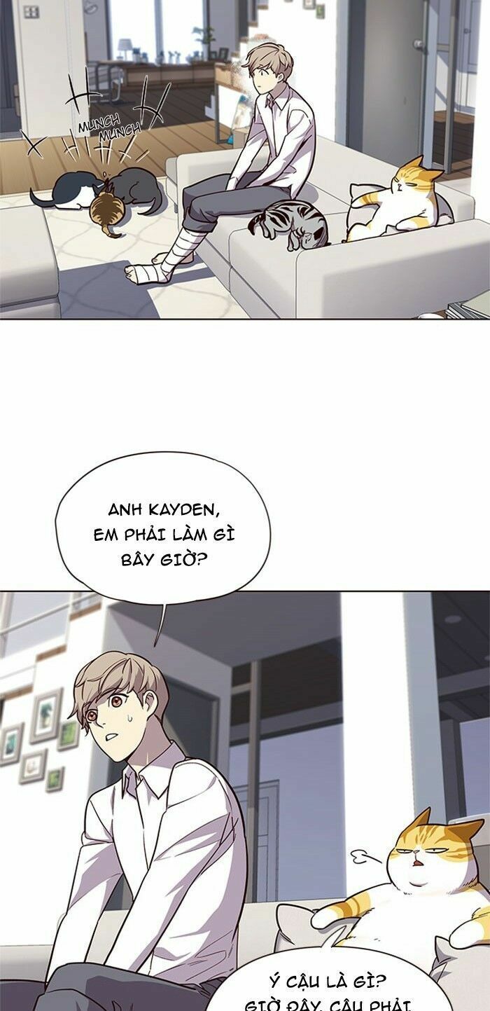 đọc truyện Hóa Thân Thành Mèo Chương 17 ảnh 24 tại Thiên Thai Truyện