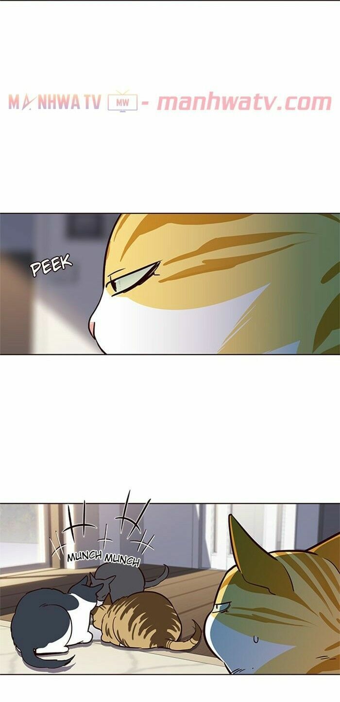 đọc truyện Hóa Thân Thành Mèo Chương 17 ảnh 40 tại Thiên Thai Truyện