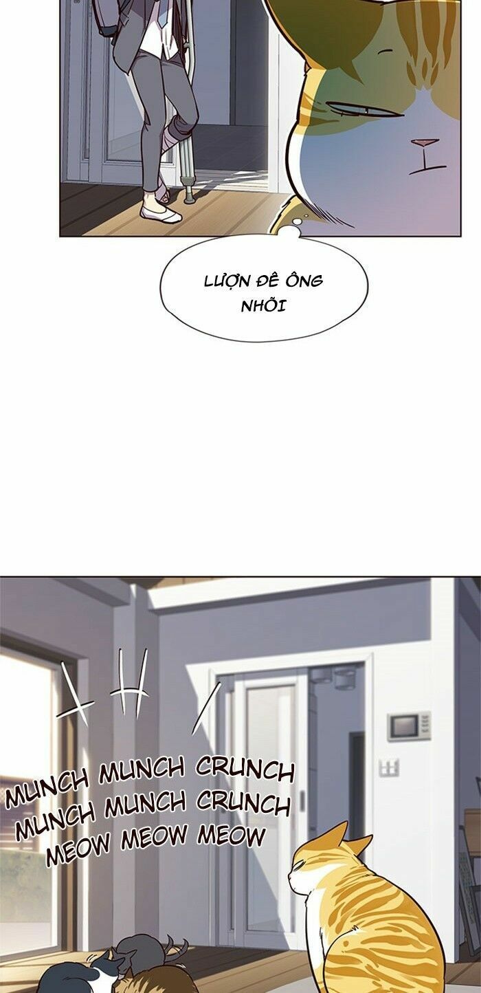 đọc truyện Hóa Thân Thành Mèo Chương 17 ảnh 42 tại Thiên Thai Truyện