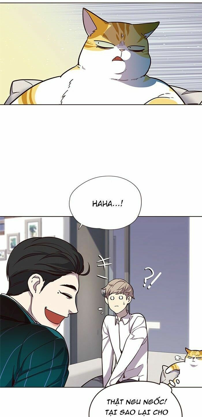 đọc truyện Hóa Thân Thành Mèo Chương 17 ảnh 10 tại Thiên Thai Truyện