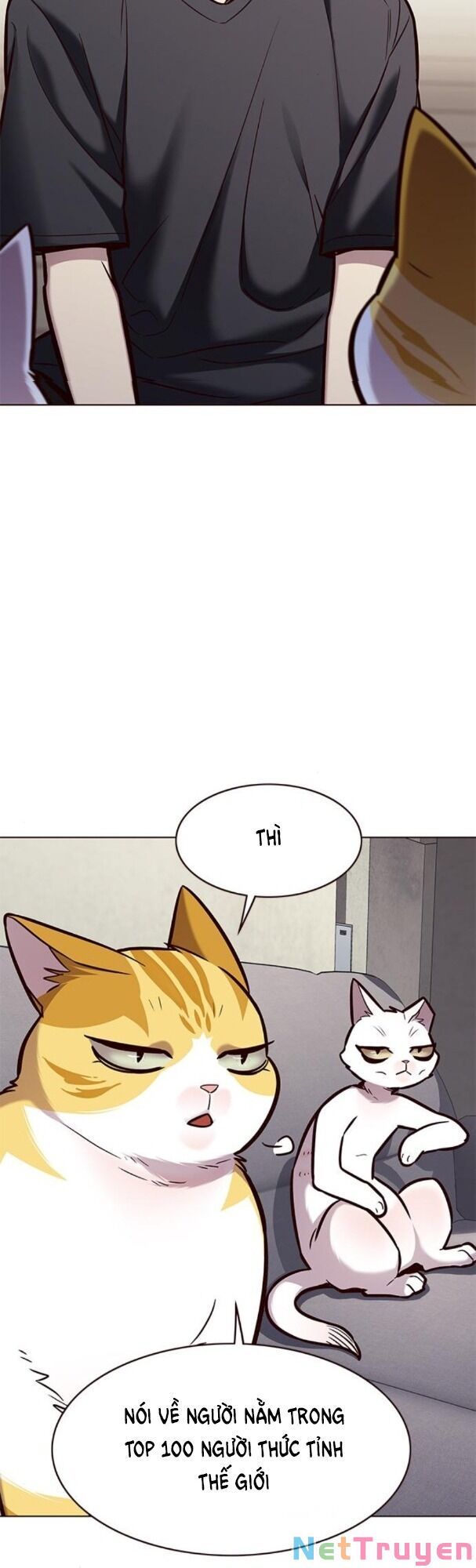 đọc truyện Hóa Thân Thành Mèo Chương 173 ảnh 18 tại Thiên Thai Truyện