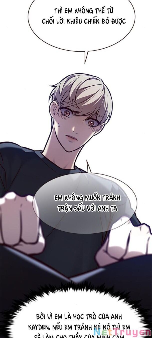 đọc truyện Hóa Thân Thành Mèo Chương 173 ảnh 23 tại Thiên Thai Truyện