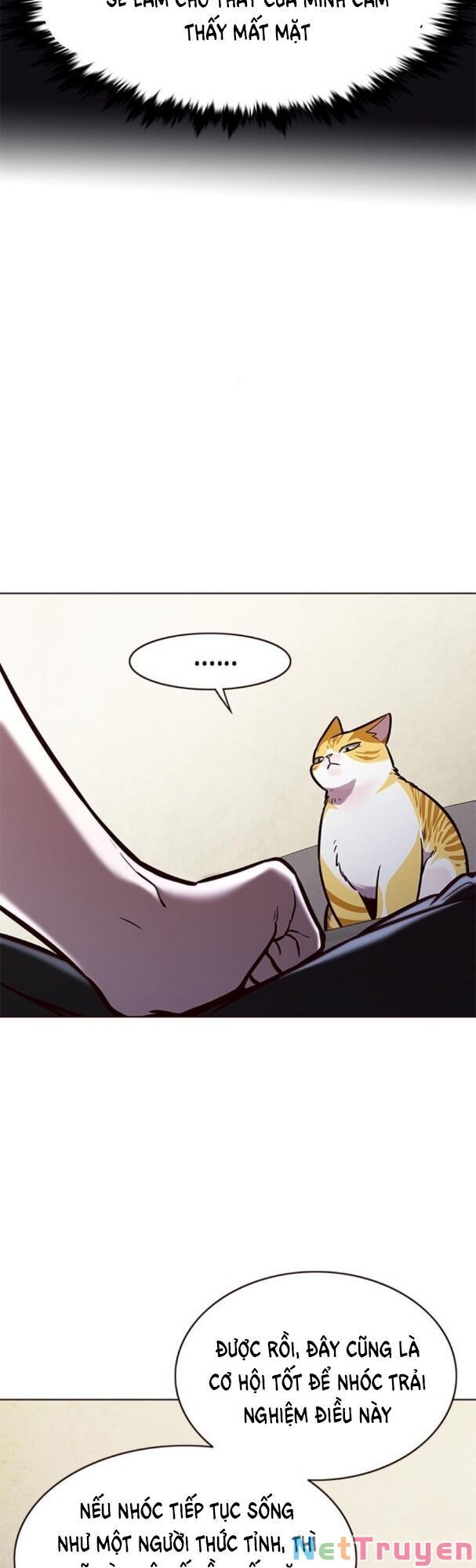 đọc truyện Hóa Thân Thành Mèo Chương 173 ảnh 24 tại Thiên Thai Truyện