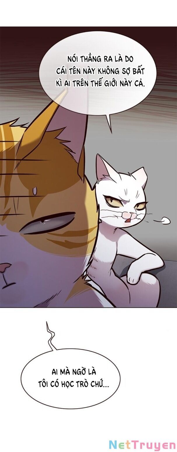 đọc truyện Hóa Thân Thành Mèo Chương 173 ảnh 27 tại Thiên Thai Truyện