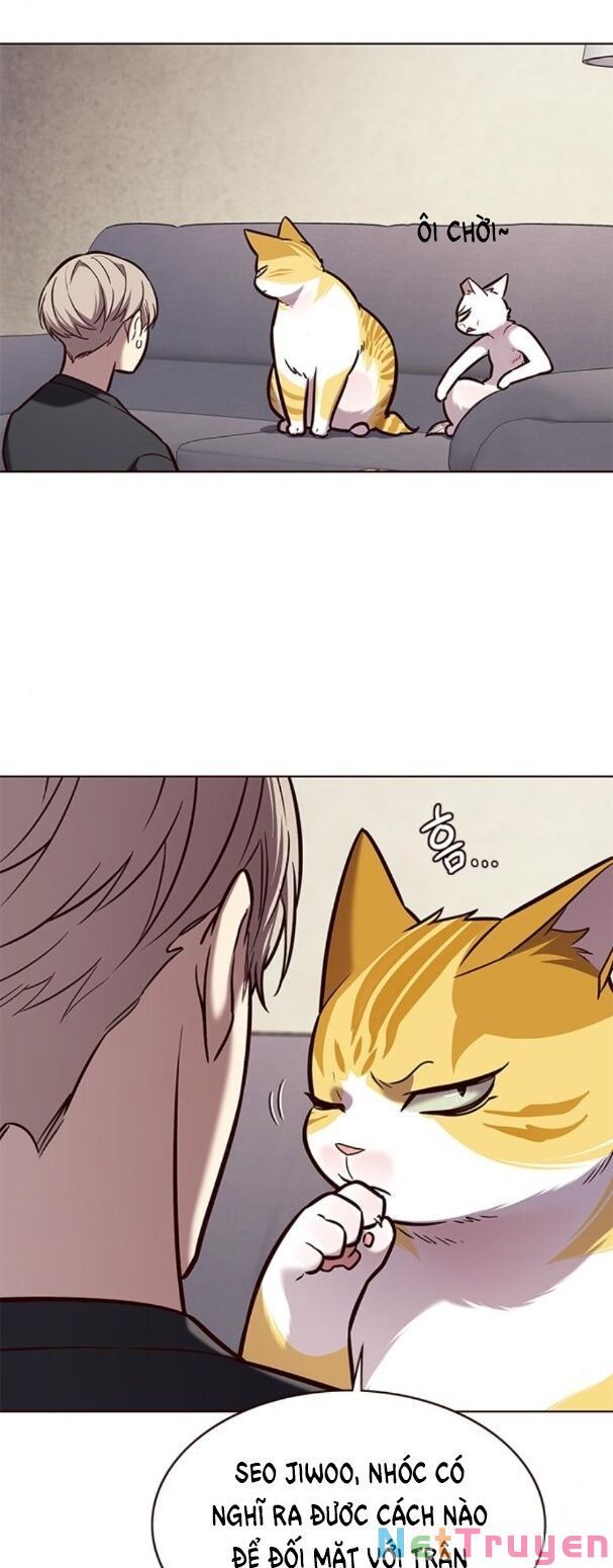 đọc truyện Hóa Thân Thành Mèo Chương 173 ảnh 28 tại Thiên Thai Truyện