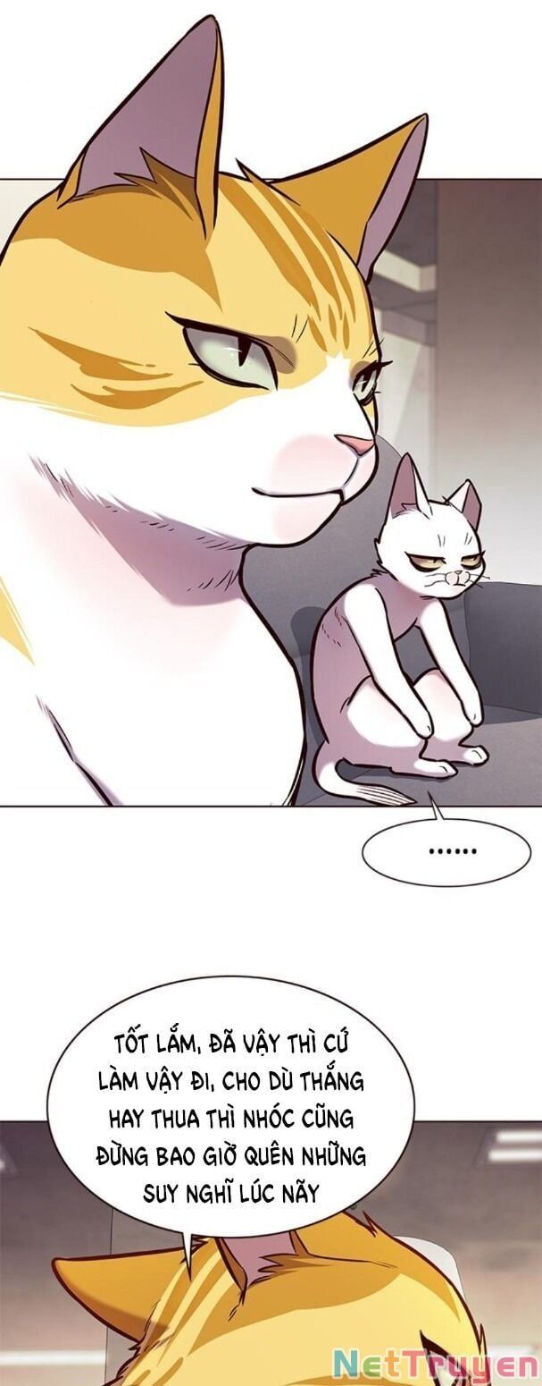 đọc truyện Hóa Thân Thành Mèo Chương 173 ảnh 31 tại Thiên Thai Truyện