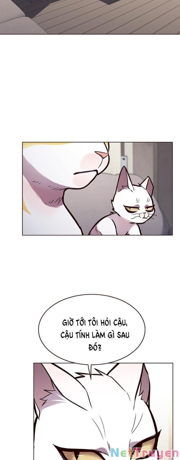 đọc truyện Hóa Thân Thành Mèo Chương 173 ảnh 34 tại Thiên Thai Truyện